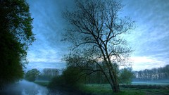 Landscapes fog nature Trees water reflections rivers