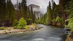 Landscapes fog nature Trees water rivers
