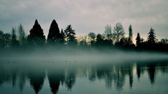 Landscapes fog nature water surface