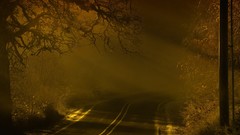 Landscapes fog roads creepy