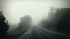 Landscapes fog Silent Hill roads