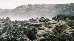 Landscapes fog smoke moss iceland