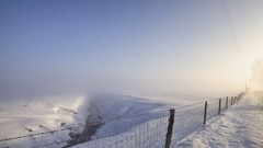 Landscapes fog snow mist