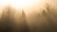 Landscapes fog sun Washington valleys