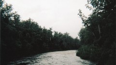 Landscapes fog Trees Australia rivers forests tasmania