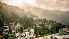 Landscapes fog Trees cities forests