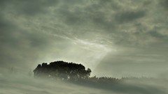 Landscapes fog Trees clouds natural scenery