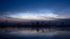 Landscapes fog Trees clouds reflections