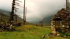 Landscapes fog Trees grass clouds ruins