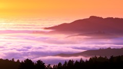Landscapes fog Trees hills California mist