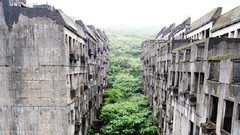 Landscapes fog Trees houses buildings cityscapes forests