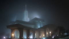 Landscapes fog Trees light buildings nocturnal moon light