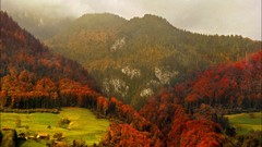 Landscapes fog Trees Mountains autumn forests