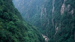 Landscapes fog Trees Mountains China Asia forests