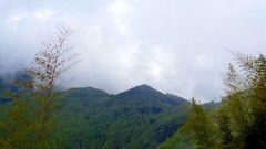 Landscapes fog Trees Mountains clouds skies