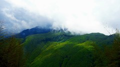 Landscapes fog Trees Mountains clouds sunlight skies