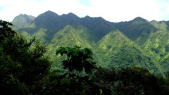 Landscapes fog Trees Mountains jungle Hawaii forests