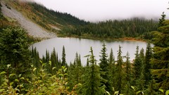 Landscapes fog Trees Mountains lakes forests Evergreen