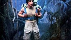 Landscapes fog Trees Movies star wars forests Luke Skywalker 