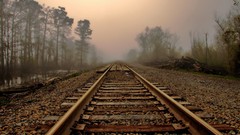 Landscapes fog Trees railroad tracks
