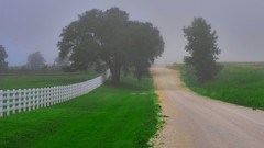 Landscapes fog Trees roads fences skylines picket fence