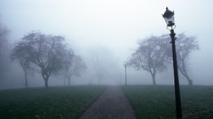 Landscapes fog Trees roads lamp posts