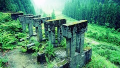 Landscapes fog Trees ruins forests