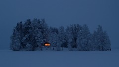 Landscapes fog Trees snow winter night Islands Europe sweden 