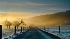 Landscapes fog Trees snow winter sun cold roads skyscapes