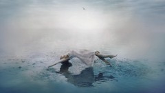 Landscapes fog water levitation artistic