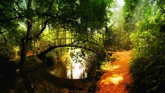 Landscapes forests Bridges rivers