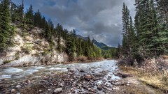Landscapes forests HDR Photography