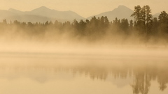 Landscapes forests mist