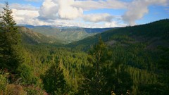 Landscapes forests Mountains