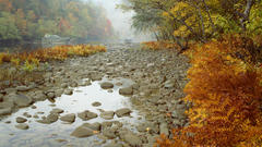 Landscapes forests rivers