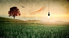 Landscapes forests wall