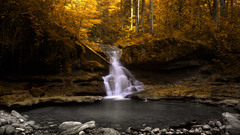 Landscapes forests waterfalls