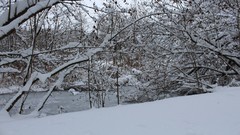 Landscapes forests Winter is Coming