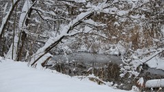 Landscapes forests Winter is Coming