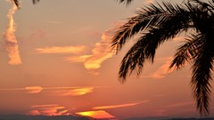 Landscapes France promenade des anglais