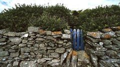 Landscapes France rocks bushes artwork James Lapett