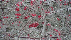 Landscapes Frozen national geographic