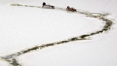 Landscapes Frozen national geographic