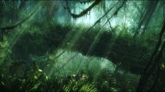 Landscapes Games Computers crysis video games