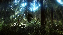 Landscapes Games Computers xbox xbox 360 crysis crysis 2