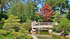 Landscapes Garden Bridges