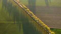 Landscapes germany north country road rhine