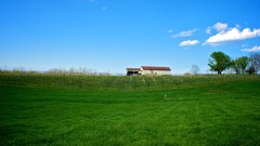 Landscapes grass blue Green farm vineyard serene