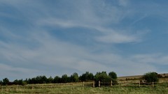 Landscapes grass blue Poland fields skyscapes