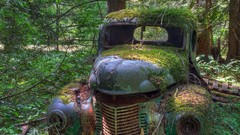 Landscapes grass cars national geographic